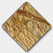 Bidasar Yellow Marble Slab