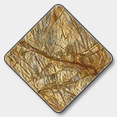 Indian Bidasar Yellow Marble Tiles