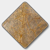 Rain Forest Brown Marble Supplier