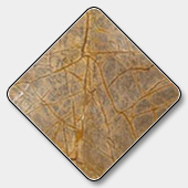 Indian Bidasar Yellow Marble Exporter