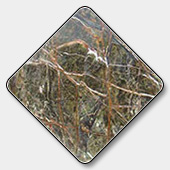Bidasar Brown Marble Slab supplier