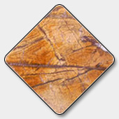 Indian Rain Forest Brown Marble Tile