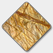 Bidasar Yellow Marble Tiles Exporter