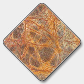 Indian Bidasar Red Marble Slabs