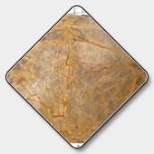 Bidasar Rain Forest Marble Slabs