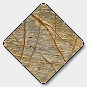 Bidasar Rain Forest slabs Wholesaler