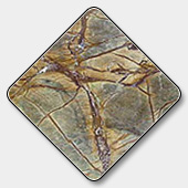 Indian Bidasar Brown Marble Tile