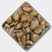 Natural Pebbles Stone Manufacturer