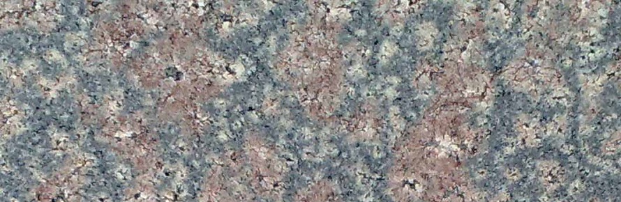 Bala Flower(N) Granite
