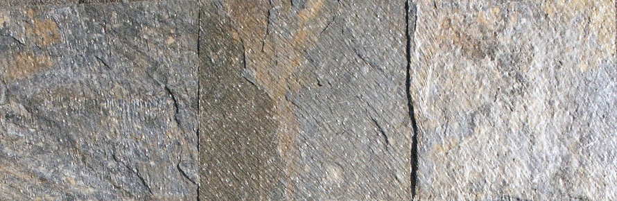 Gold Green North Quartzite