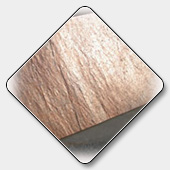 Quartzite Stone Specification