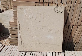 Dholpur Beige Sandstone exporter