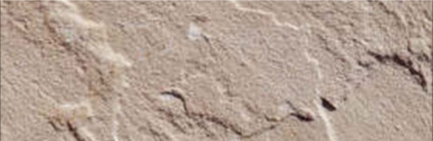 Dholpur Beige Sandstone