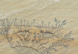 Fossil Sandstone manufacture