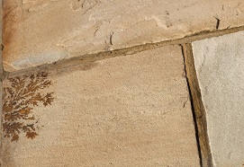 Fossil Sandstone wholesaler