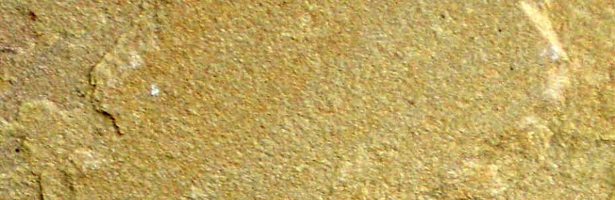 Yellow Sandstone